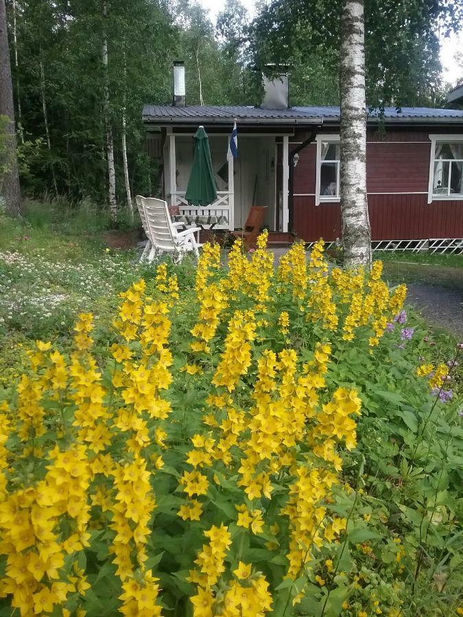 Ilmastoitu Kesaemoekki Askolassa Laehellae Porvoota エクステリア 写真